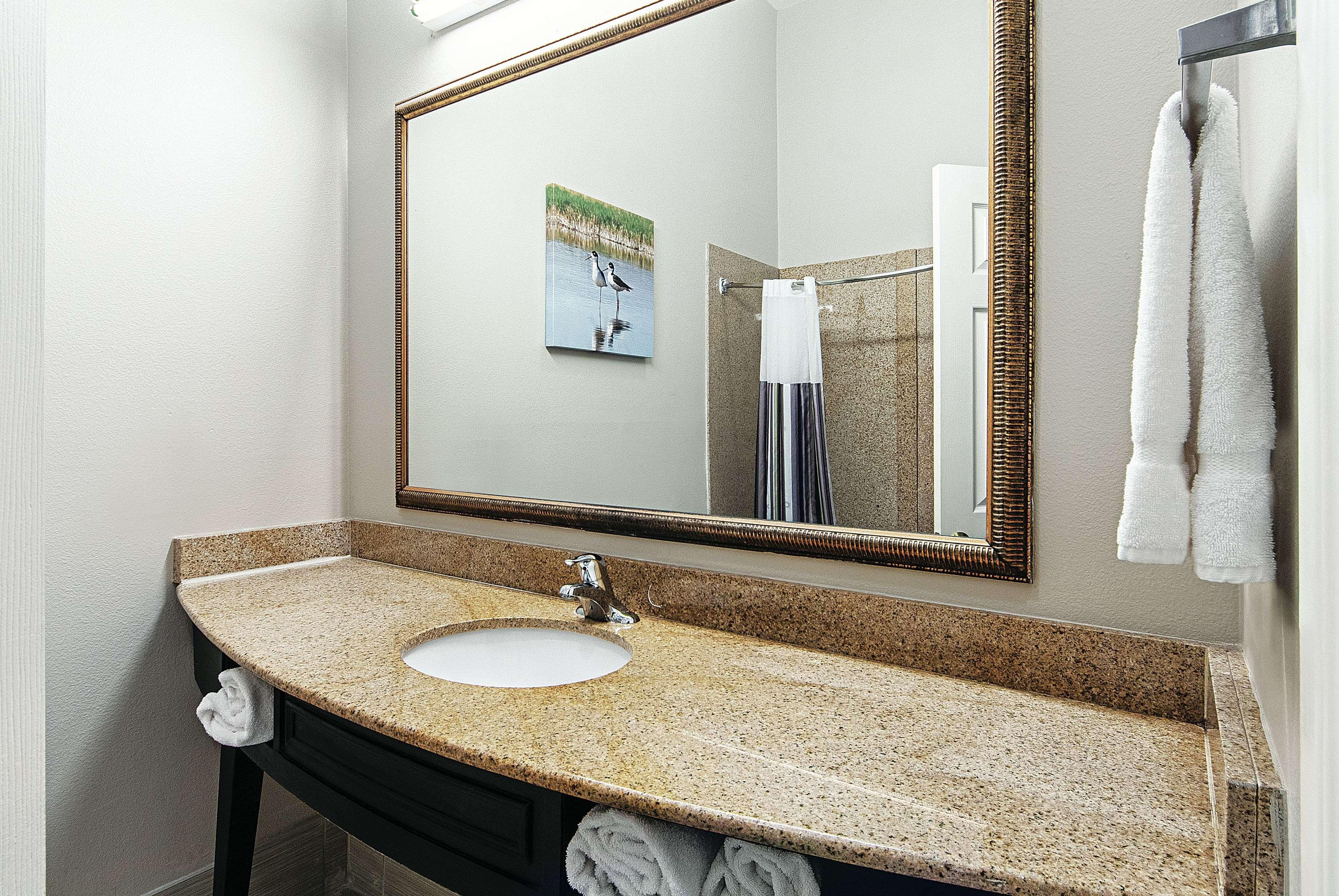La Quinta By Wyndham Alamo-Mcallen East Dış mekan fotoğraf